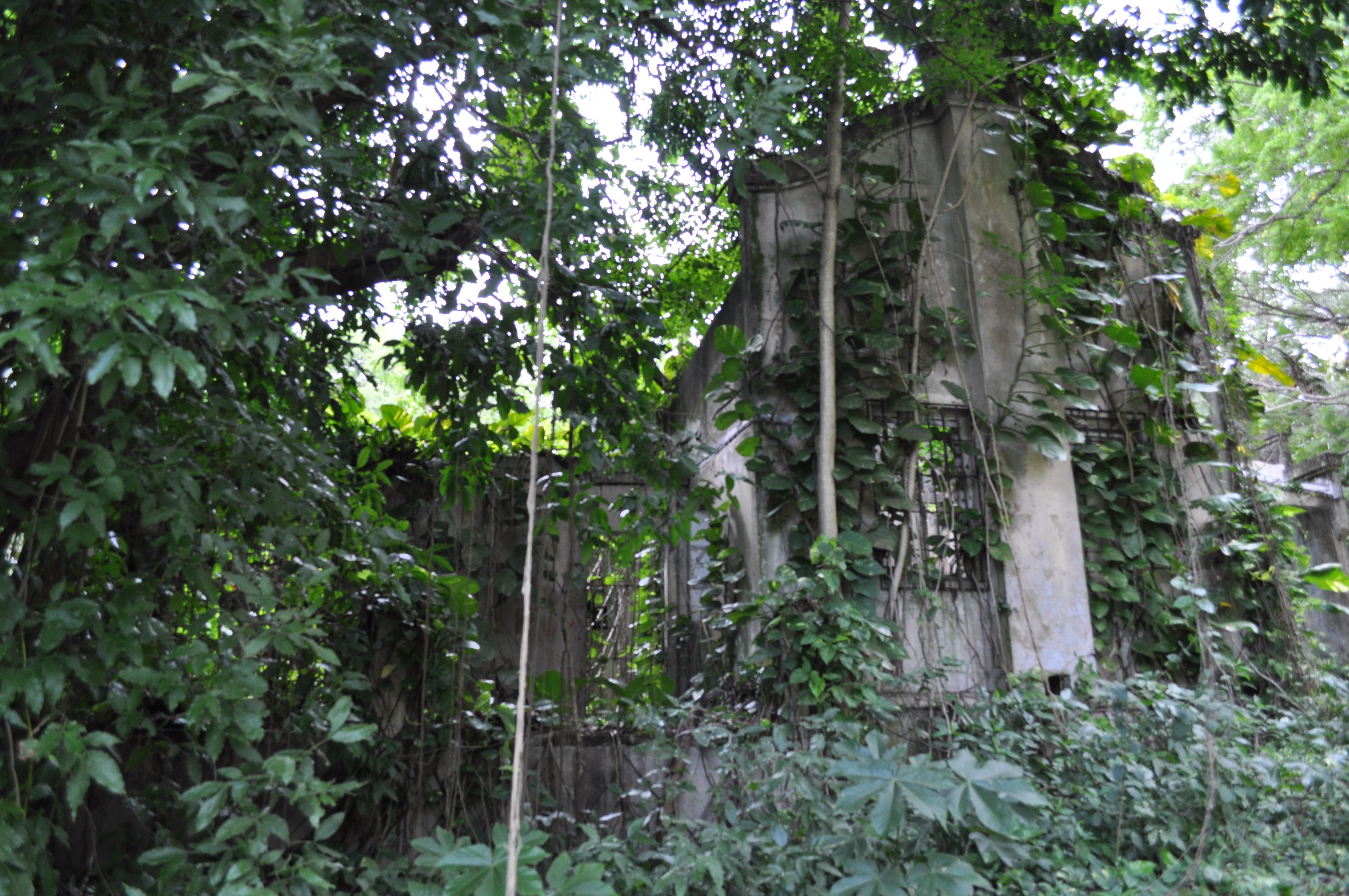Antigua Lechería y Residencia de la Facultad de la Universidad de Puerto Rico - San Juan (Río Piedras) - 2014 00036
